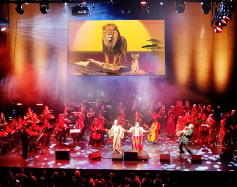 König der Löwen Fotocredit Highlight-Concerts GmbH
